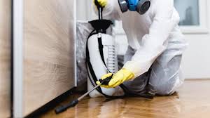 Reliable Weldon, CA Pest Control Solutions